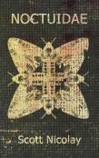 Noctuidae