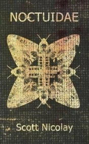 Noctuidae