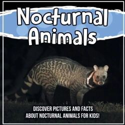 Bertrand.pt - Nocturnal Animals: Discover Pictures And
