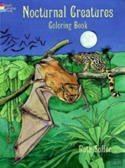 Bertrand.pt - Nocturnal Creatures Col Bk
