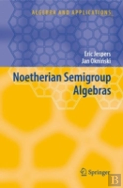 Bertrand.pt - Noetherian Semigroup Algebras