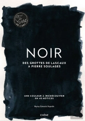 Noir ; Des Grottes De Lascaux À Pierre Soulages ; Une Couleur À (Re)Découvrir En 40 Notices