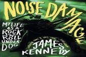 Noise Damage