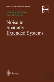 Noise In Spatially Extended Systems