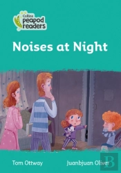 Noises At Night