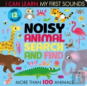 Noisy Animal Search And Find