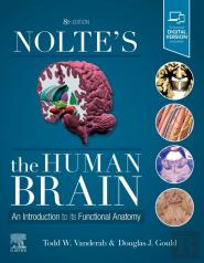 Nolte'S The Human Brain