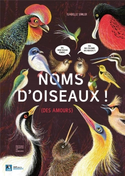 Bertrand.pt - Noms D'Oiseaux !