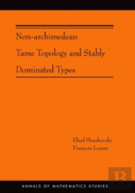 Non-Archimedean Tame Topology And Stably Dominated Types