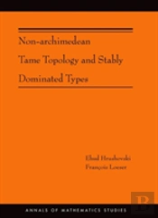 Non-Archimedean Tame Topology And Stably Dominated Types
