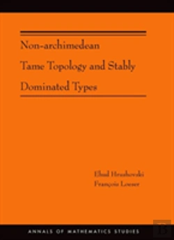 Bertrand.pt - Non-Archimedean Tame Topology And Stably Dominated Types