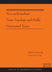 Non-Archimedean Tame Topology And Stably Dominated Types