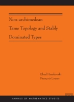 Bertrand.pt - Non-Archimedean Tame Topology And Stably Dominated Types