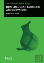 Non-Euclidean Geometry And Curvature