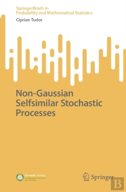 Bertrand.pt - Non-Gaussian Selfsimilar Stochastic Processes