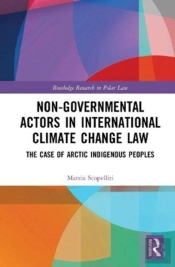 Non-Governmental Actors In International Climate Change Law