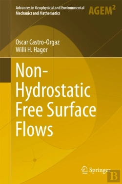 Bertrand.pt - Non-Hydrostatic Free Surface Flows