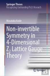 Non-Invertible Symmetry In 4-Dimensional Z2 Lattice Gauge Theory