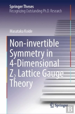 Bertrand.pt - Non-Invertible Symmetry In 4-Dimensional Z2 Lattice Gauge Theory