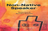 Non-Native Speaker