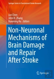 Non-Neuronal Mechanisms Of Brain Damage And Repair After Stroke
