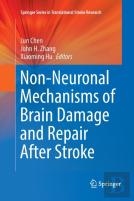 Non-Neuronal Mechanisms Of Brain Damage And Repair After Stroke
