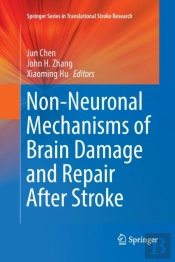 Non-Neuronal Mechanisms Of Brain Damage And Repair After Stroke