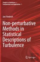 Non-Perturbative Methods In Statistical Descriptions Of Turbulence