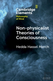 Non-Physicalist Theories Of Consciousness