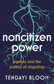Noncitizen Power