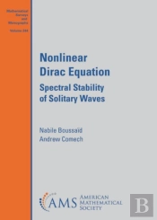 Nonlinear Dirac Equation