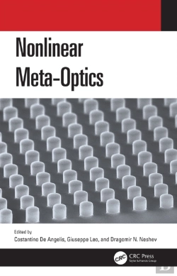 Bertrand.pt - Nonlinear Meta-Optics