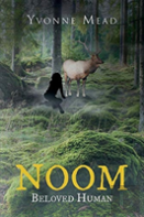 Noom