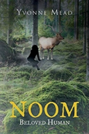 Noom
