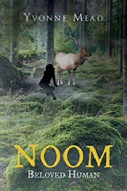 Bertrand.pt - Noom