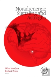 Noradrenergic Signaling And Astroglia