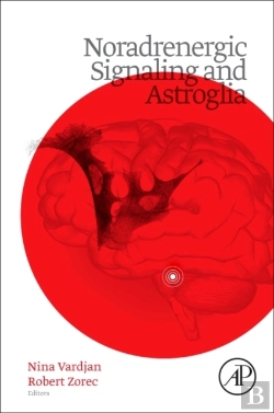 Bertrand.pt - Noradrenergic Signaling And Astroglia