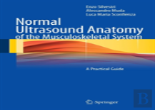 Normal Ultrasound Anatomy Of The Musculoskeletal System