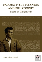 Normativity, Meaning And Philosophy: Essays On Wittgenstein