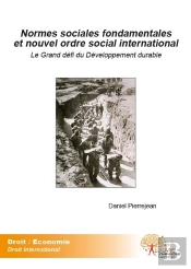 Normes Sociales Fondamentales Et Nouvel Ordre Social International ; Le Grand Défi Du Développement Durable