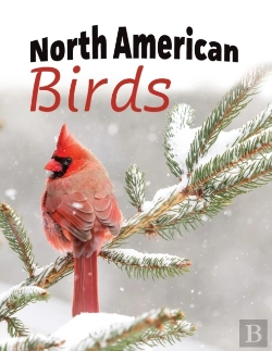 Bertrand.pt - North American Birds