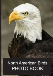 North American Birds Photo Book