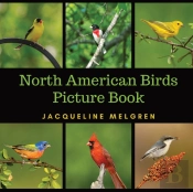 North American Birds Picture Book
