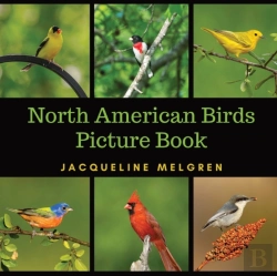 Bertrand.pt - North American Birds Picture Book