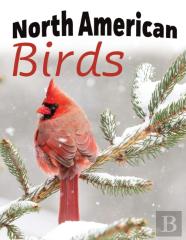 North American Birds