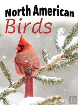Bertrand.pt - North American Birds