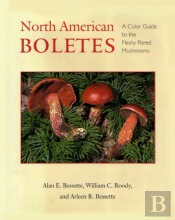 North American Boletes