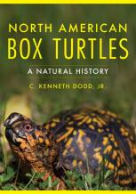 North American Box Turtles