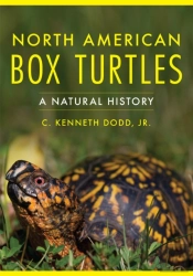 North American Box Turtles