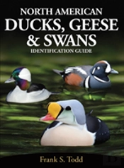 North American Ducks, Geese And Swans